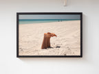 Framed - Standard Shoji Ebony