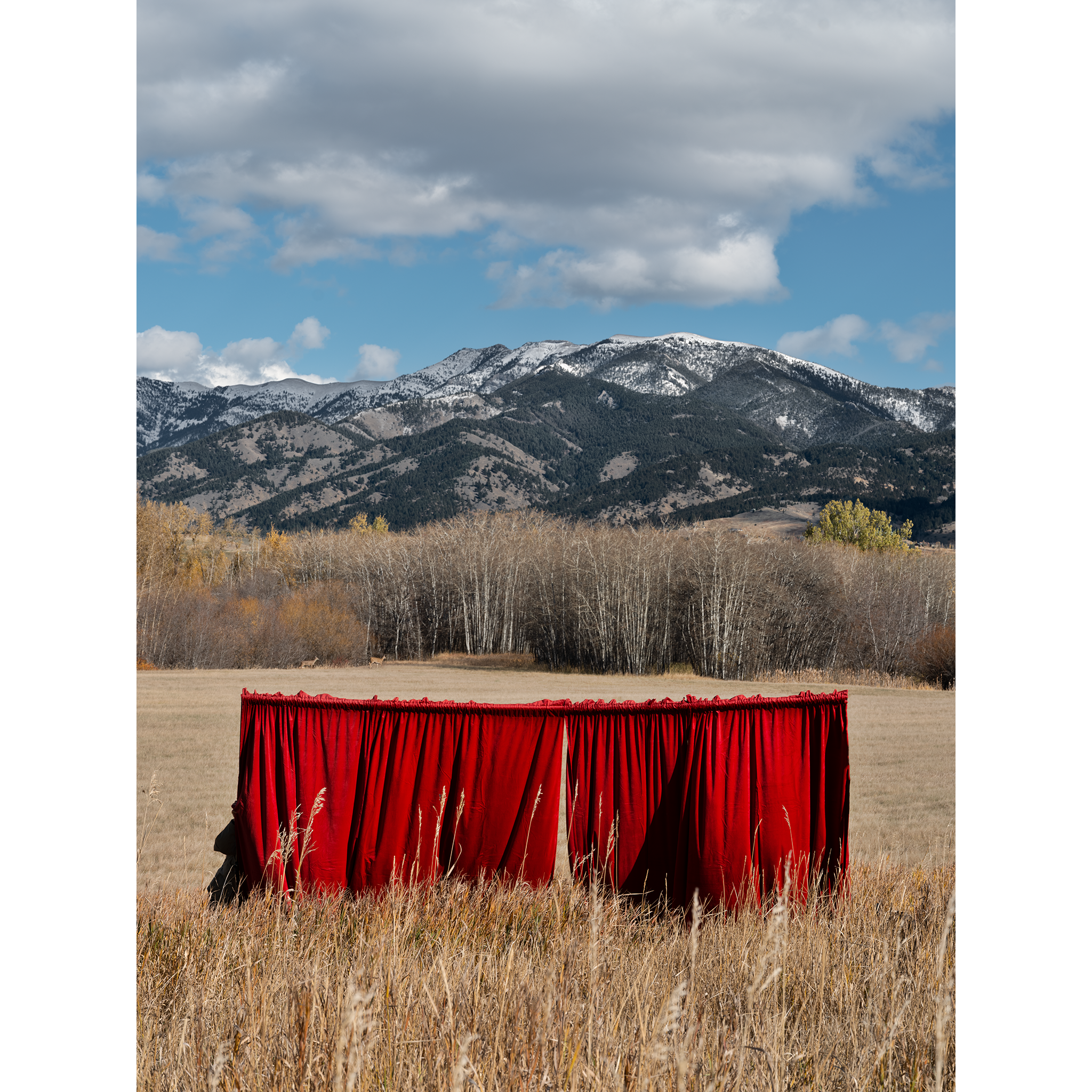 Curtains 2 (Curtains in Bozeman)